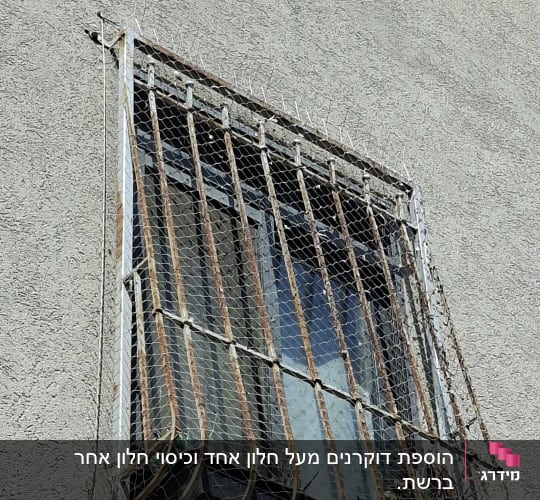 חלון עם רשת למניעת כניסת יונים